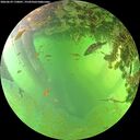 ./images/calvert/underwater/20260629/underwater20260629_170001M.jpg