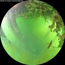 ./images/calvert/underwater/20260629/underwater20260629_170502M.jpg