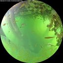 ./images/calvert/underwater/20260629/underwater20260629_171002M.jpg