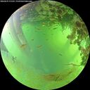 ./images/calvert/underwater/20260629/underwater20260629_171501M.jpg