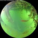 ./images/calvert/underwater/20260629/underwater20260629_172001M.jpg