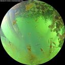 ./images/calvert/underwater/20260629/underwater20260629_172501M.jpg