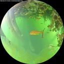 ./images/calvert/underwater/20260629/underwater20260629_173501M.jpg
