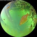 ./images/calvert/underwater/20260629/underwater20260629_174001M.jpg