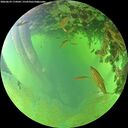 ./images/calvert/underwater/20260629/underwater20260629_174501M.jpg