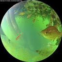 ./images/calvert/underwater/20260629/underwater20260629_175002M.jpg