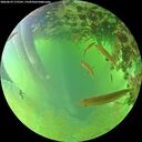 ./images/calvert/underwater/20260629/underwater20260629_175501M.jpg