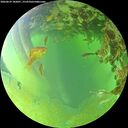 ./images/calvert/underwater/20260629/underwater20260629_182001M.jpg