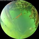 ./images/calvert/underwater/20260629/underwater20260629_182502M.jpg