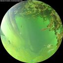 ./images/calvert/underwater/20260629/underwater20260629_183001M.jpg