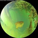 ./images/calvert/underwater/20260629/underwater20260629_184001M.jpg