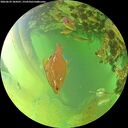 ./images/calvert/underwater/20260629/underwater20260629_184501M.jpg