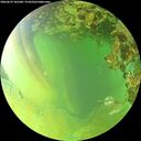 ./images/calvert/underwater/20260629/underwater20260629_185501M.jpg