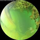 ./images/calvert/underwater/20260629/underwater20260629_190001M.jpg