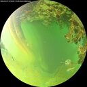./images/calvert/underwater/20260629/underwater20260629_191001M.jpg
