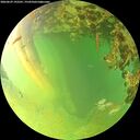 ./images/calvert/underwater/20260629/underwater20260629_192501M.jpg