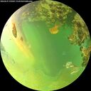 ./images/calvert/underwater/20260629/underwater20260629_193001M.jpg