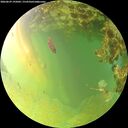 ./images/calvert/underwater/20260629/underwater20260629_195001M.jpg