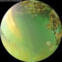 ./images/calvert/underwater/20260629/underwater20260629_201002M.jpg