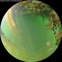 ./images/calvert/underwater/20260629/underwater20260629_201501M.jpg