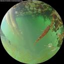 ./images/calvert/underwater/20260629/underwater20260629_202002M.jpg