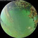 ./images/calvert/underwater/20260629/underwater20260629_202501M.jpg