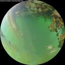 ./images/calvert/underwater/20260629/underwater20260629_203002M.jpg
