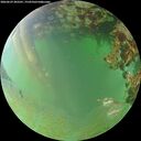 ./images/calvert/underwater/20260629/underwater20260629_203501M.jpg