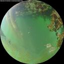 ./images/calvert/underwater/20260629/underwater20260629_204501M.jpg