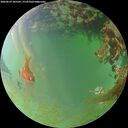 ./images/calvert/underwater/20260629/underwater20260629_205502M.jpg