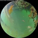 ./images/calvert/underwater/20260629/underwater20260629_210002M.jpg