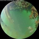 ./images/calvert/underwater/20260629/underwater20260629_210501M.jpg