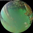 ./images/calvert/underwater/20260629/underwater20260629_211502M.jpg