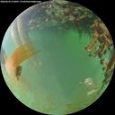 ./images/calvert/underwater/20260629/underwater20260629_212001M.jpg