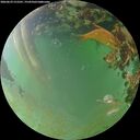 ./images/calvert/underwater/20260629/underwater20260629_212501M.jpg