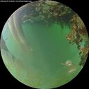 ./images/calvert/underwater/20260629/underwater20260629_213002M.jpg