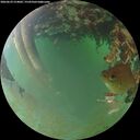 ./images/calvert/underwater/20260629/underwater20260629_214001M.jpg