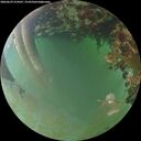 ./images/calvert/underwater/20260629/underwater20260629_214501M.jpg