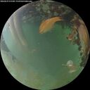 ./images/calvert/underwater/20260629/underwater20260629_215501M.jpg