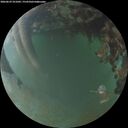 ./images/calvert/underwater/20260629/underwater20260629_221001M.jpg