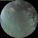 ./images/calvert/underwater/20260630/underwater20260630_050001M.jpg