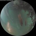 ./images/calvert/underwater/20260630/underwater20260630_050501M.jpg