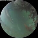 ./images/calvert/underwater/20260630/underwater20260630_051001M.jpg