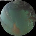 ./images/calvert/underwater/20260630/underwater20260630_051501M.jpg