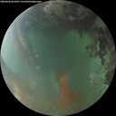 ./images/calvert/underwater/20260630/underwater20260630_052502M.jpg