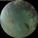 ./images/calvert/underwater/20260630/underwater20260630_053001M.jpg
