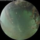 ./images/calvert/underwater/20260630/underwater20260630_054002M.jpg