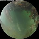 ./images/calvert/underwater/20260630/underwater20260630_054501M.jpg