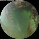 ./images/calvert/underwater/20260630/underwater20260630_055001M.jpg