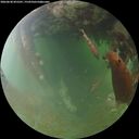 ./images/calvert/underwater/20260630/underwater20260630_055502M.jpg